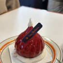 오델리스 이미지