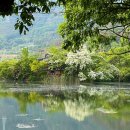 뚜레쥬르밀양미리벌점(2) | 밀양반값여행 다녀온 후기 : 밀양 가볼만한곳 맛집 추천, 1박2일 여행 코스