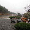 덕수정 이미지