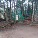 제주도유 이미지