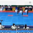 용인대 마루한 태권도 이미지