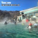 백운면 벚꽃길 | 제천 리솜포레스트 해브나인 스파 할인예약 및 이용안내 등