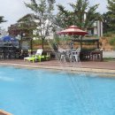 솜니움트리 이미지