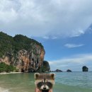 747 모텔 | [KRABI] 나 혼자 끄라비, 피피섬 6박 8일 일정+숙소 정리 1️⃣ 인천에서 푸켓공항, 푸켓공항에서 끄라비...