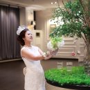 플로체 이미지
