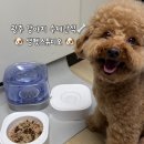 광주 강아지 수제간식 샘펫스튜디오 무인샵 방문 후기