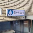 폴라동물병원 | 종로구 숭인동 동물병원 폴라동물병원 위치 오는길 후기