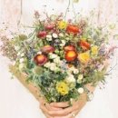 다온다 플라워 네이버블로그