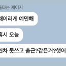 홍어나라 이미지