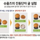 슈올즈구로