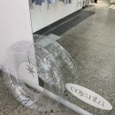 로이드밤대구 이미지