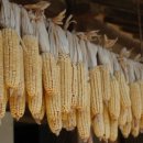 모믈88의원 이미지