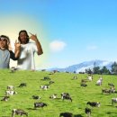 영석목장 이미지