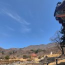 보광사 | [파주 보광사]조용하고 힐링되는 사찰방문 후기/파주 가볼만한곳 추천