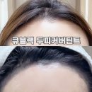 헤어라인 틴트 두피염색약 큐블랙 솔직후기