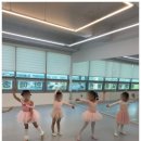 송이무용학원 이미지