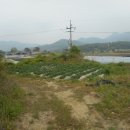 이담리 이미지