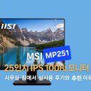 251 | MSI MP251 25인치 IPS 100Hz 모니터, 사무실·집에서 실사용 후기와 추천 이유