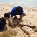 톱머리 리조트 이미지