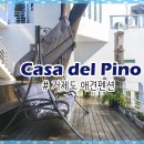 까사델 경주 | 거제도 애견펜션 : 거제도 까사델피노 솔직 후기