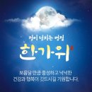 지동초 이미지