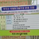 국제파크 네이버블로그