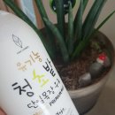 소화잘되는우유::우리딸이 잘먹는 에이코너스 유기농 청초밭 단일목장 우유