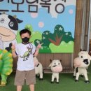 보람목장 이미지