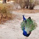 하나컴퍼니 이미지