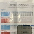 도쿄 효도여행 준비: 팀랩플래닛, 도쿄타워 예약&일본 대중교통 공부
