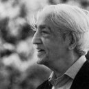 대지사슴농장 이미지