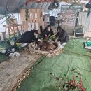 원예농장 | 화성시 헬로우팜🚜 농장에서 원예치유 프로그램 강의를 했어요!