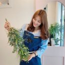 꿈드림원예힐링센터