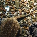 동성대중목욕탕 이미지