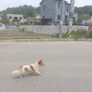 어울림공원 4 화장실 이미지