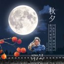 금반농원 이미지