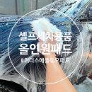 애플크리닝 | 셀프세차 위더스애플듀오패드 디테일링 솔직후기