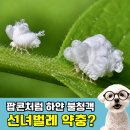 세우