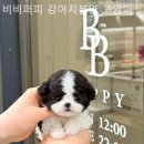 애현1길 이미지