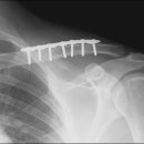 경희몸신한의원 이미지