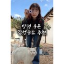 용문 | 양평 소소유유 후기｜용문 감성 숙소 찾는다면 여기 추천