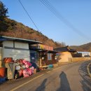 작은농원 | 충남 청양 백숙 맛집 작은농원 │현지인이 추천한 찐 시골 보양식 후기