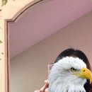 대구대학교 재활과학대학원 | 마산심리상담 이은심리상담에서 한바탕 속풀이쇼 후기(마음에 담지말고 푸세요)