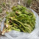 재호농장 이미지