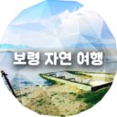 충남 보령 가볼만한곳ㅡ2탄 이미지