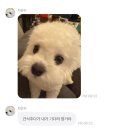 둘셋 이미지