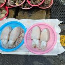 진해 용원어시장 수산물직매장과 바다초장 식당 방문 후기