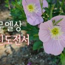 24. 8. 30(금) 사무엘상 23장, 고린도전서 4장 이미지