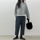 호시 이미지