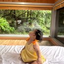 모모의다락방2 | 횡성 모모의다락방 독채 숲캉스 아기랑 방문후기